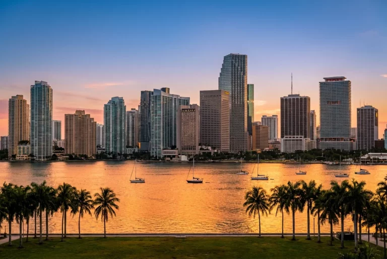 The Miami downtown skyline at sunset across Biscayne Bay with palm trees in the foreground, representing Florida amputation injury cases